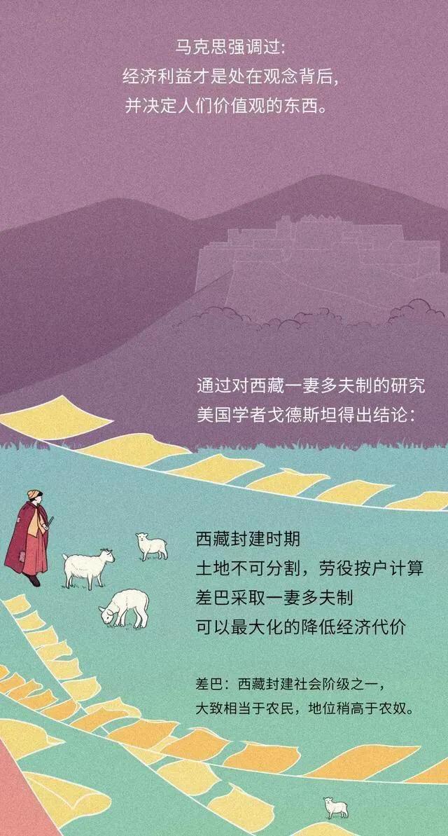 一妻多夫制犯法吗,一妻多夫制实行的影响