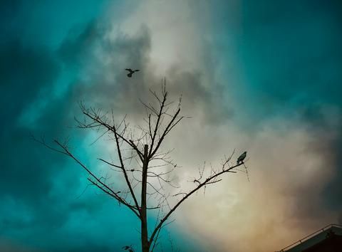 励志古诗句充满正能量的诗句,正能量的励志古诗词大全集