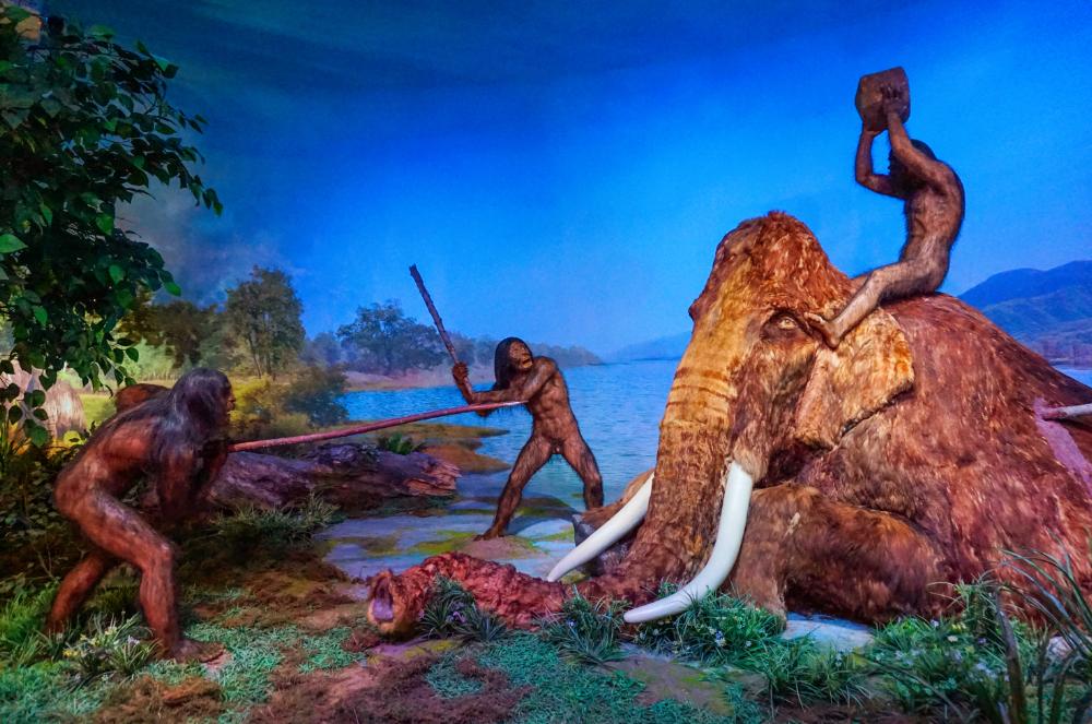 石器时代怎么发展文明,石器时代的发展特征