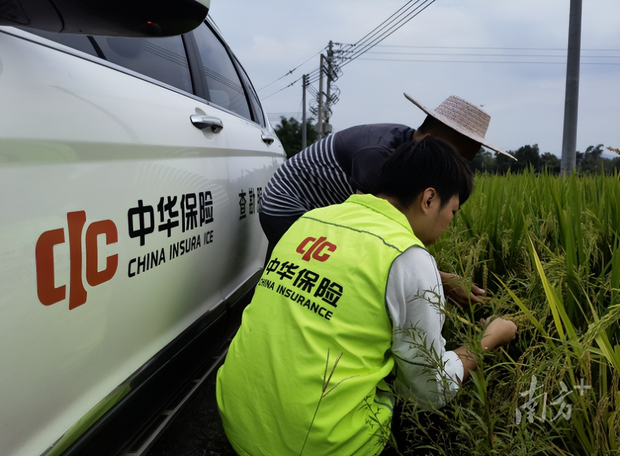 中华联合保险的盈利模式,中华联合保险如何合作