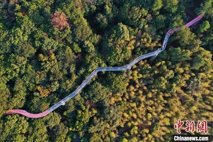 安庆市国家历史文化名城名单,西安历史文化名城保护规划