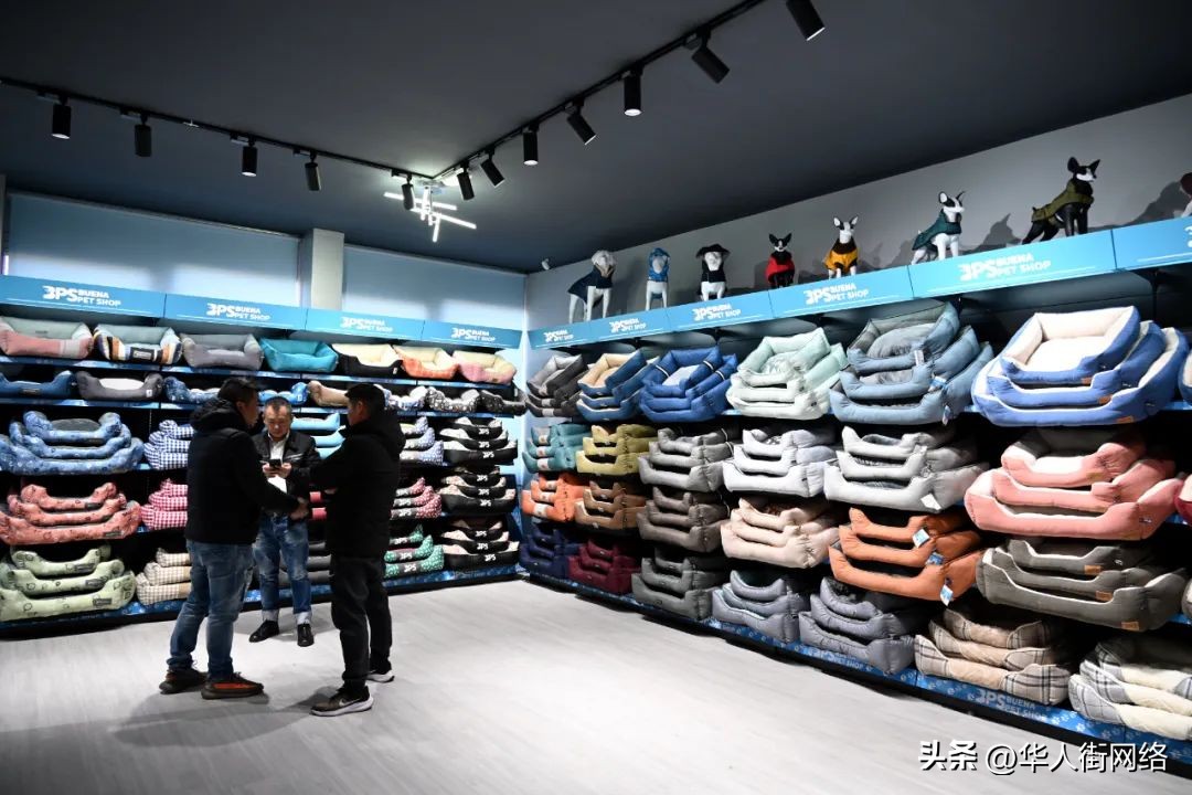 十年磨一剑国际米兰,十年磨一剑reits产品