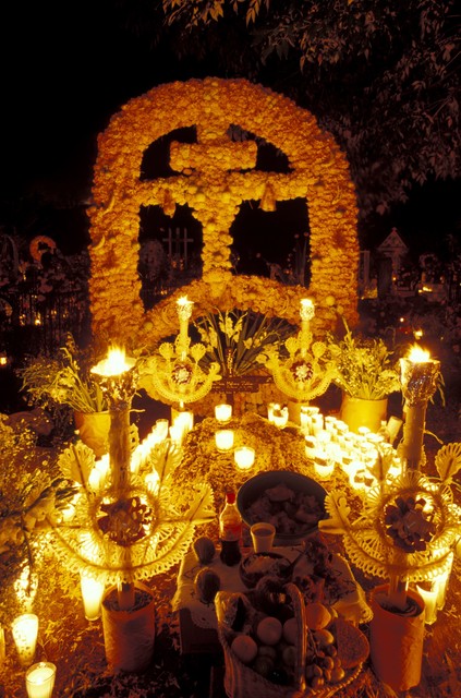 趴在回乡的硬卧火车中铺，开始一段不期而遇的回乡旅程