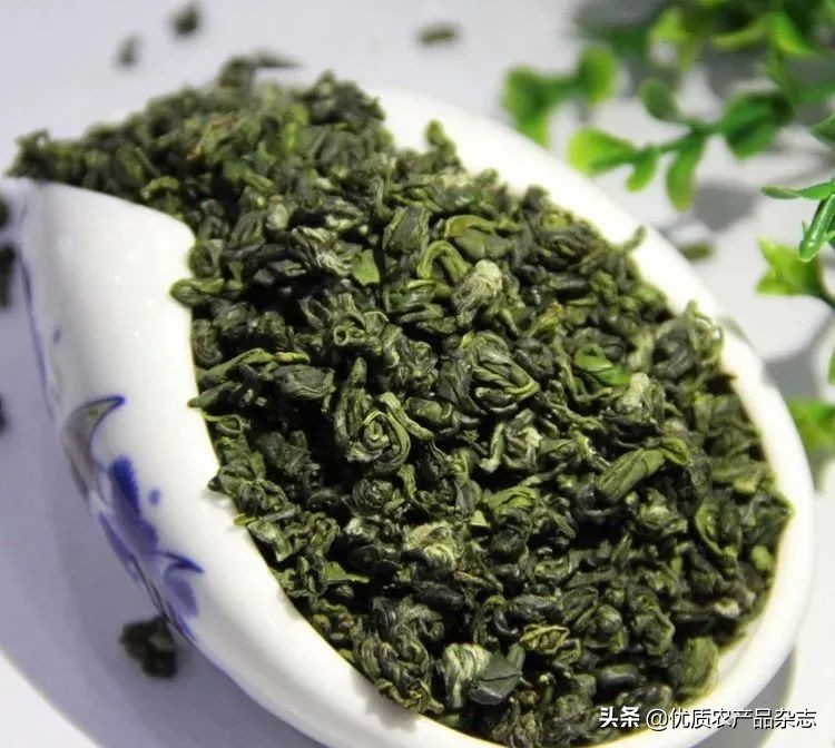 白教授讲茶故事：贵州“绿宝石”让天下人喝上干净茶