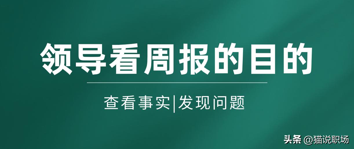 大厂日报周报月报,大厂日报周报制作