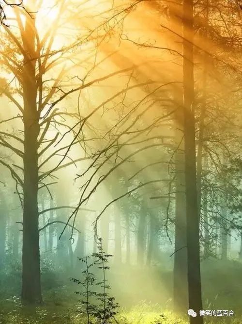 岁月洗礼时光，崭新流年记忆