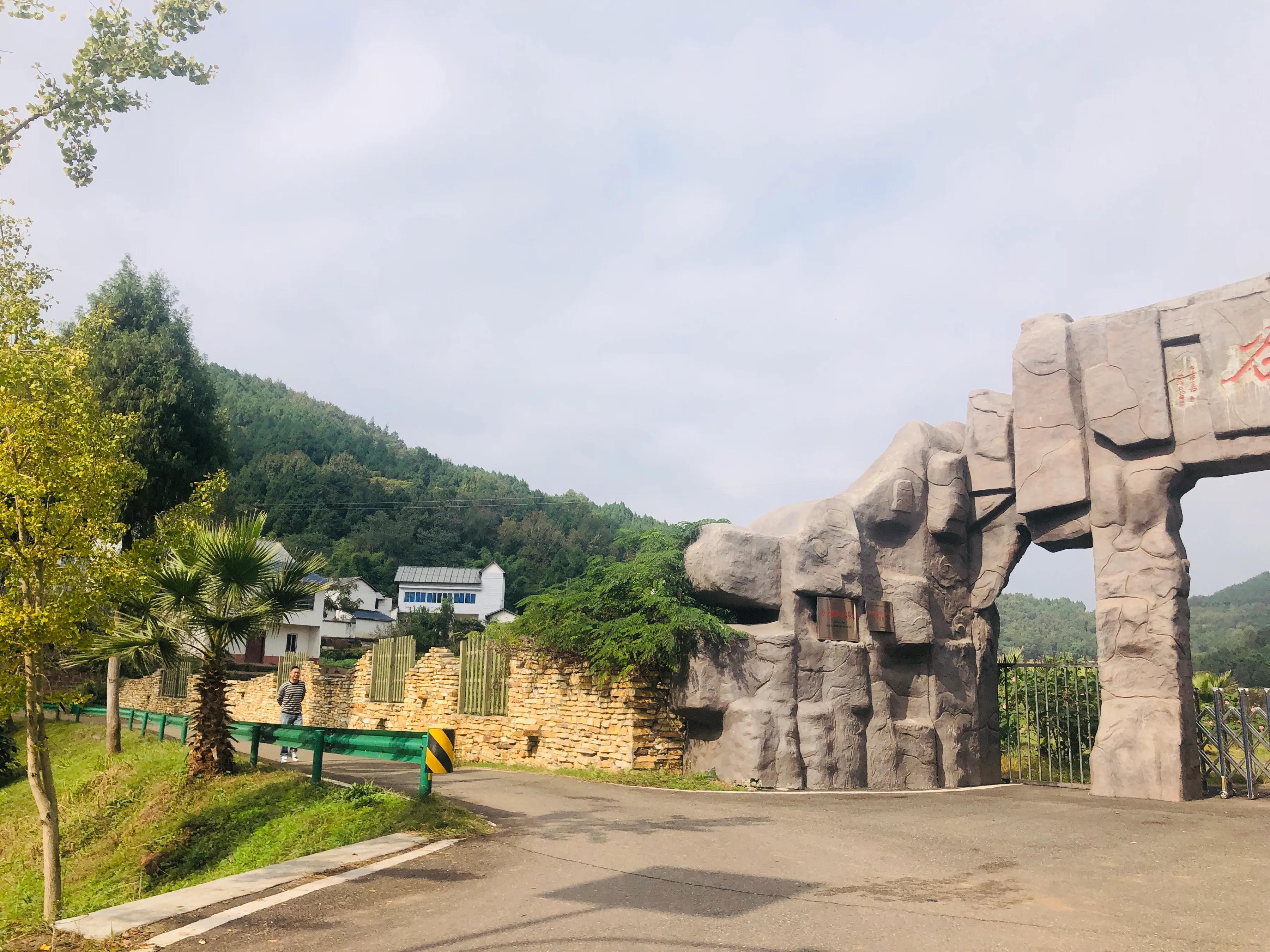 閲戝爞椴滆姳灞辫胺鍊煎緱鍘诲悧,閲戝爞椴滆姳灞辫胺娓歌