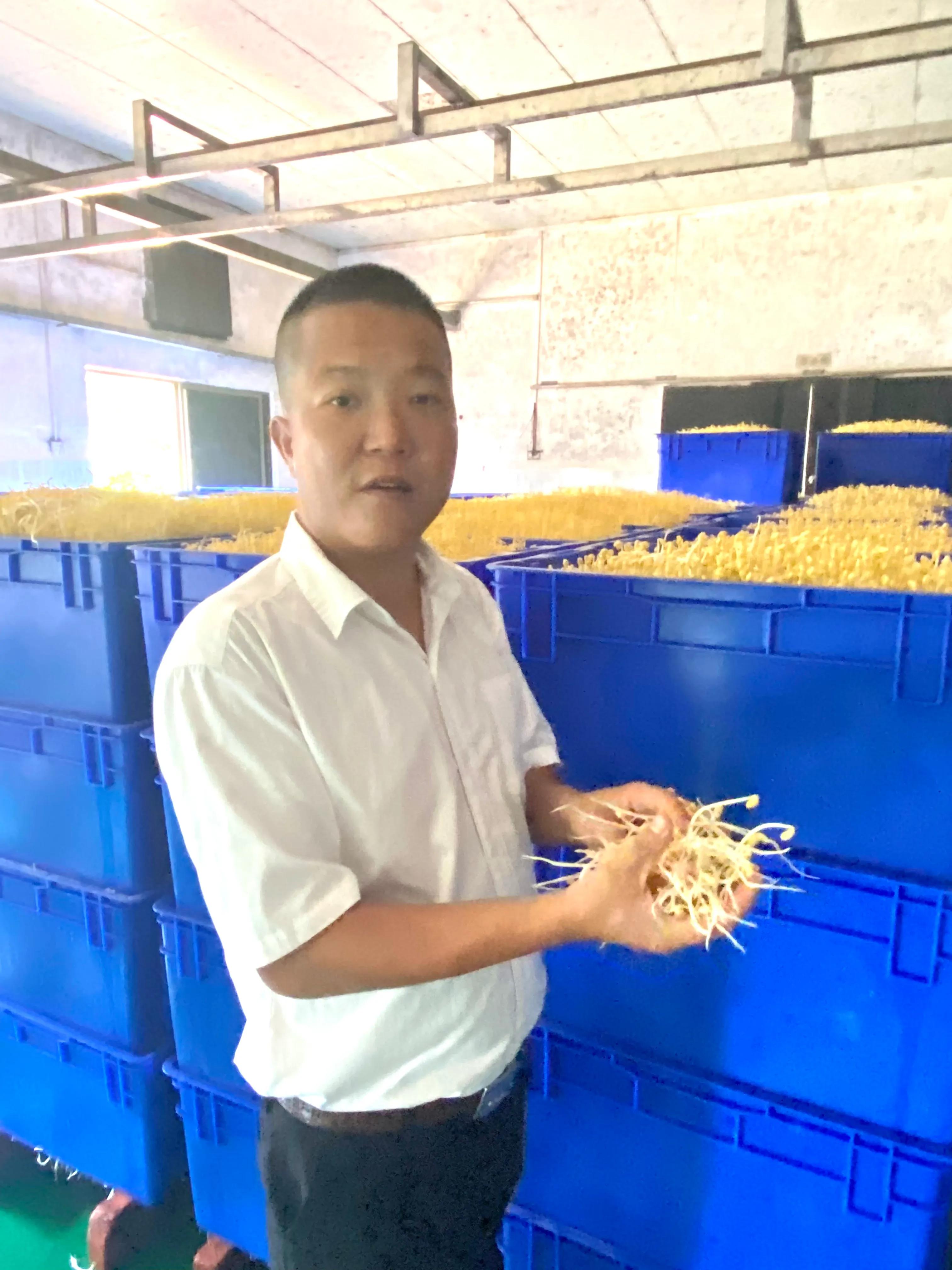 海南湖北籍企业家王攀小豆芽大梦想欲让海口市民吃上正宗“鄂”菜