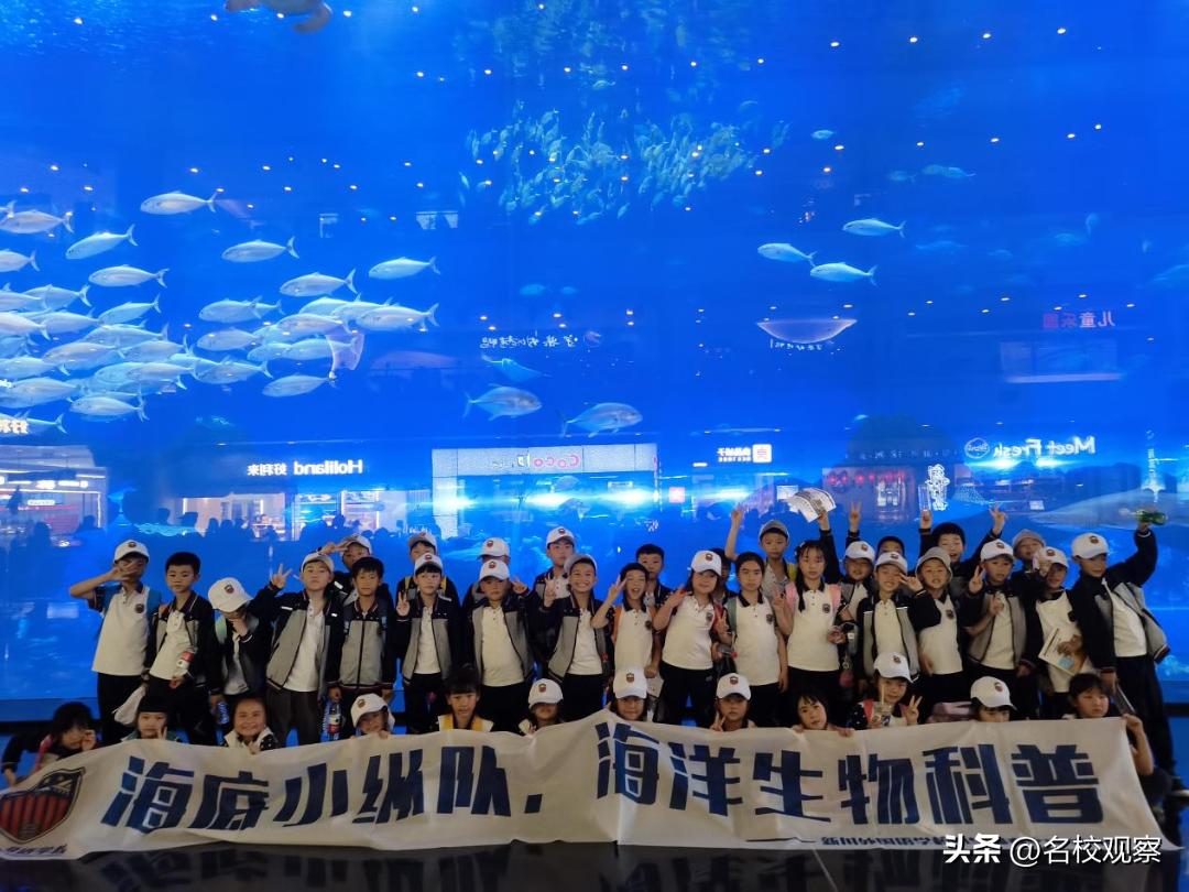 蔚蓝做苍穹，鱼儿变繁星！新川学子，走进浩海立方，探秘无限海洋