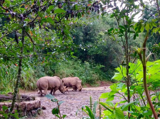 最被低估的大城市,被低估的普洱