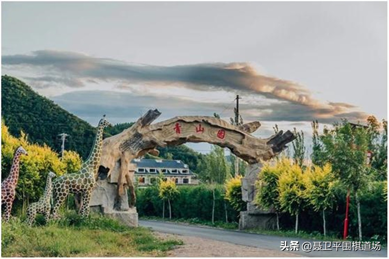 周睿羊和柯洁对决,周睿羊世界冠军