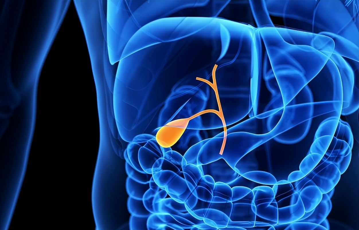 胆囊切除后对人体影响很大,胆囊切除对人体器官影响大吗