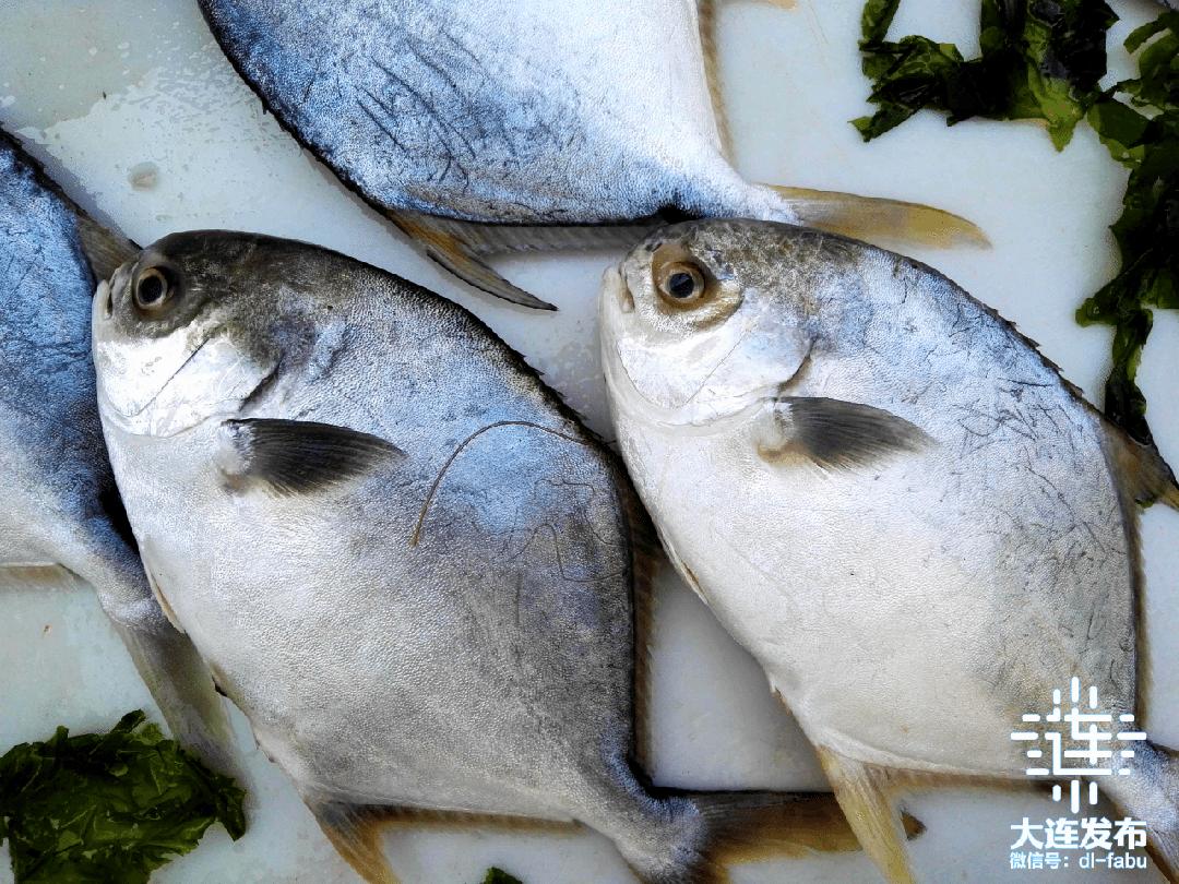 实现海鲜自由的秘诀,实现海鲜自由另一种说法