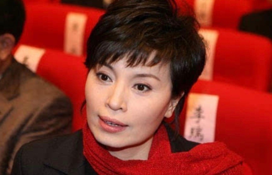 央视主播李瑞英儿子坠楼,央视主播李瑞英儿子坠楼后怎样了