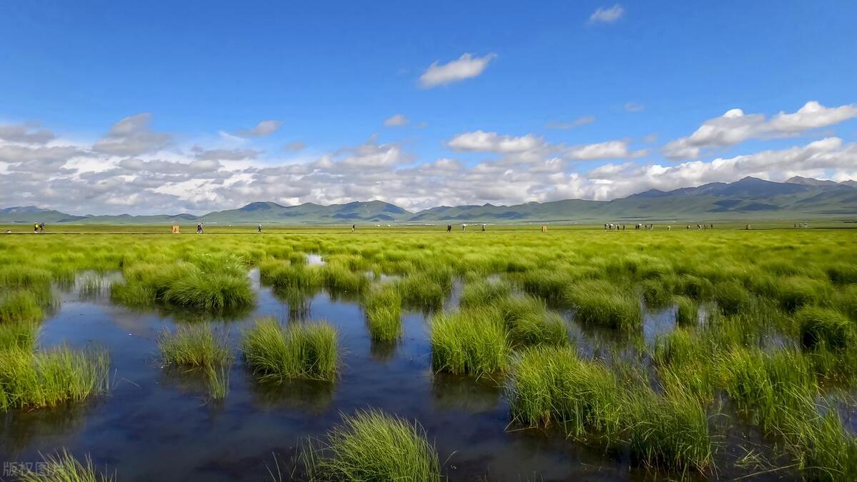 四川最美草原—若尔盖草原欣赏