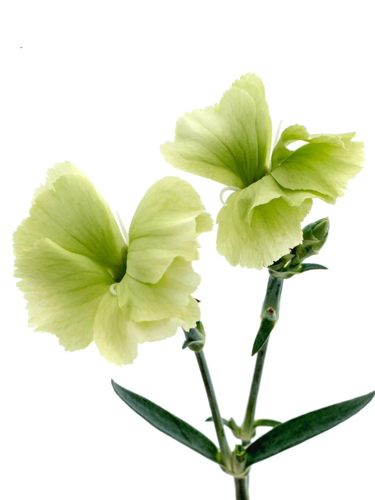 母亲节暖心文案给老婆,母亲节暖心文案