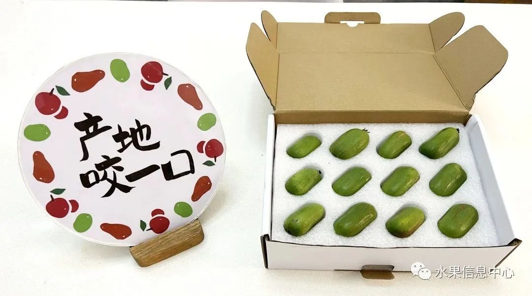 盘点那些迷你的东西,盘点不同样子的水果