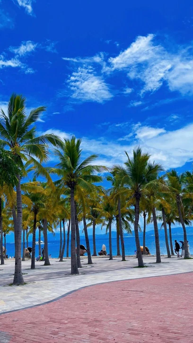 如何取图：搜索美人取图小程序,进入输入口令:952799拿高清原图啦