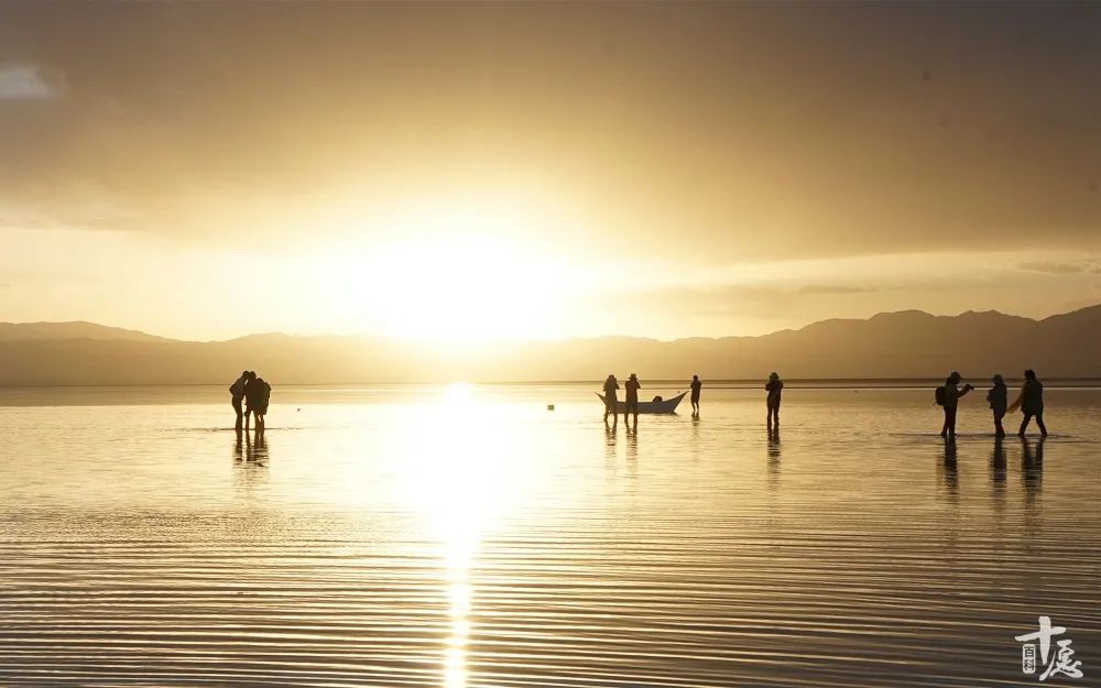 温馨治愈适合与家人一起看的电影,独处时必看的100部高分电影