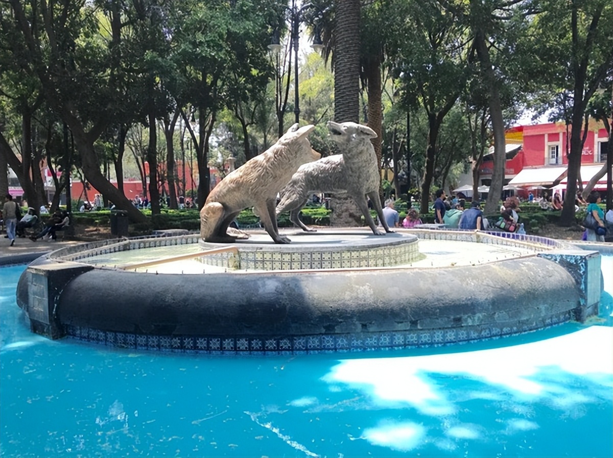 生活在墨西哥城,在墨西哥生活是什么感觉