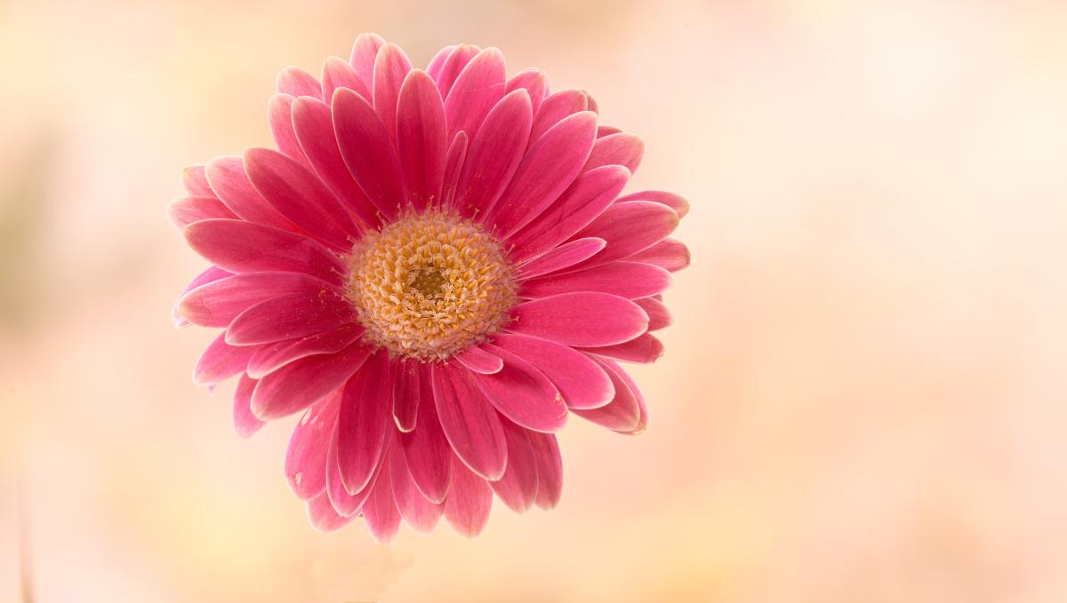 男人这样和你微信聊天说明想你了,怎么和男人聊天让男人喜欢你