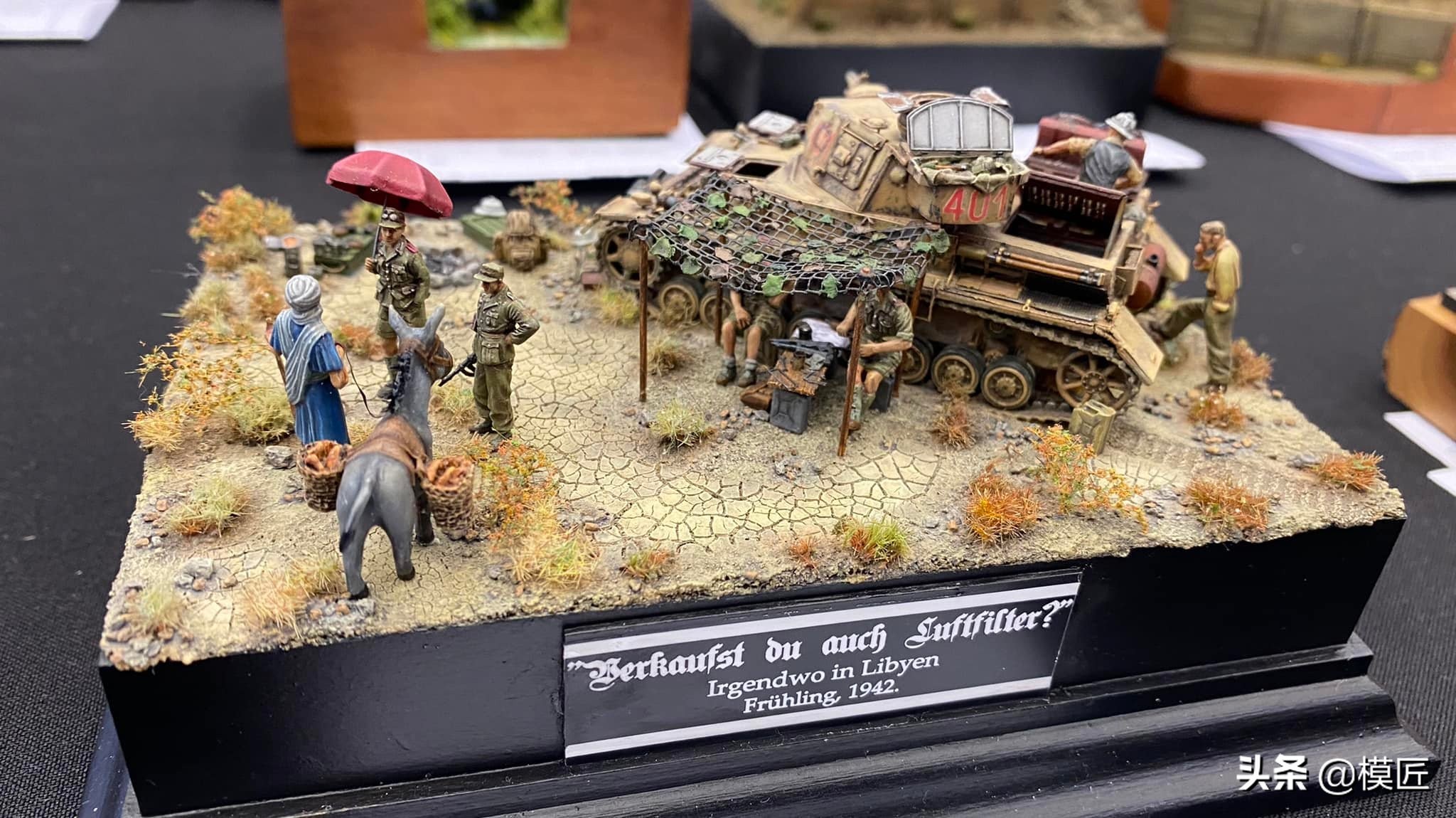 匈牙利莫森金奖,莫森模型展