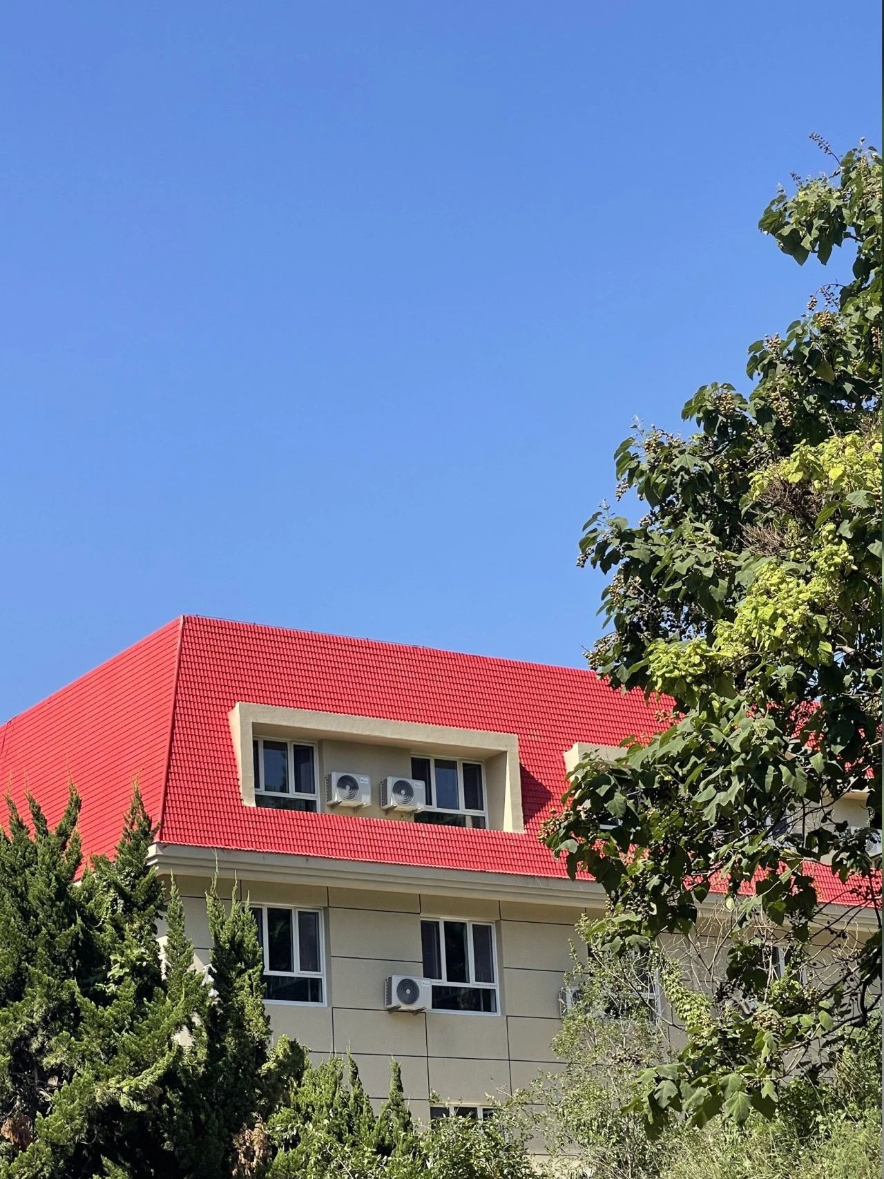 青岛人眼中的青岛二中,青岛二中秋季活动