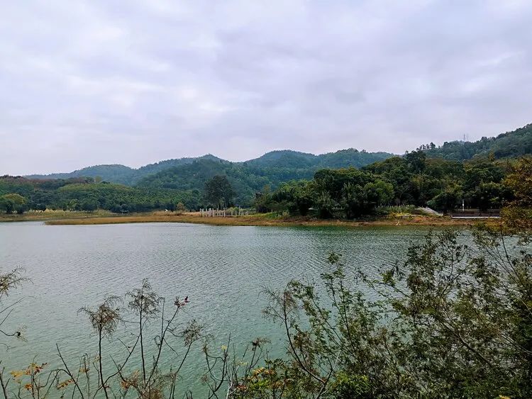 广州出发-中山2天游，打卡银坑逍遥谷+*钟金**湖公园+采摘荔枝