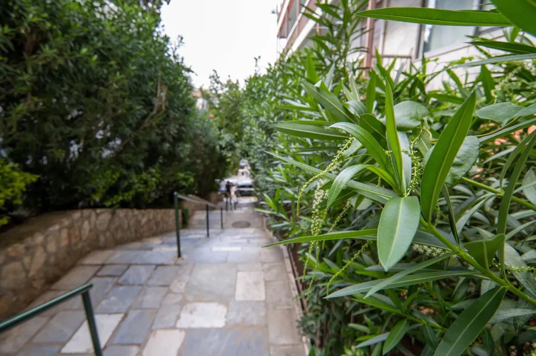 新品评测：Tokina11-18mmF2.8E多场景摄影搭档