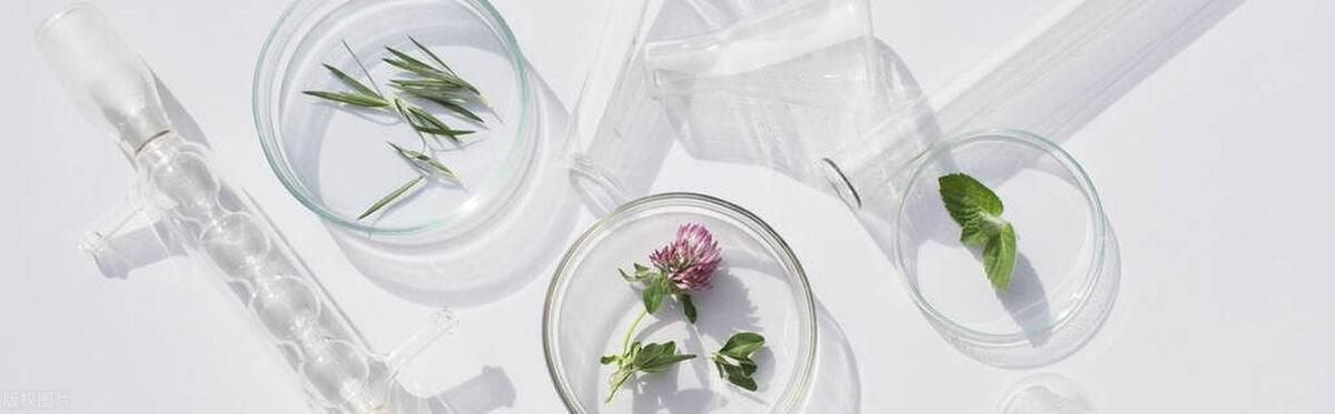 生物医学专业排名,生物科学类专业中哪个专业最好