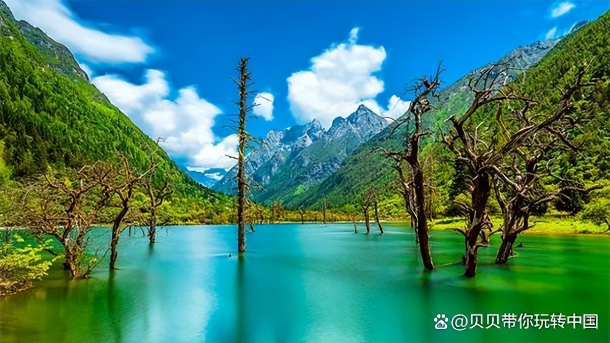 关于去九寨沟的日记,去九寨沟旅游攻略怎么写