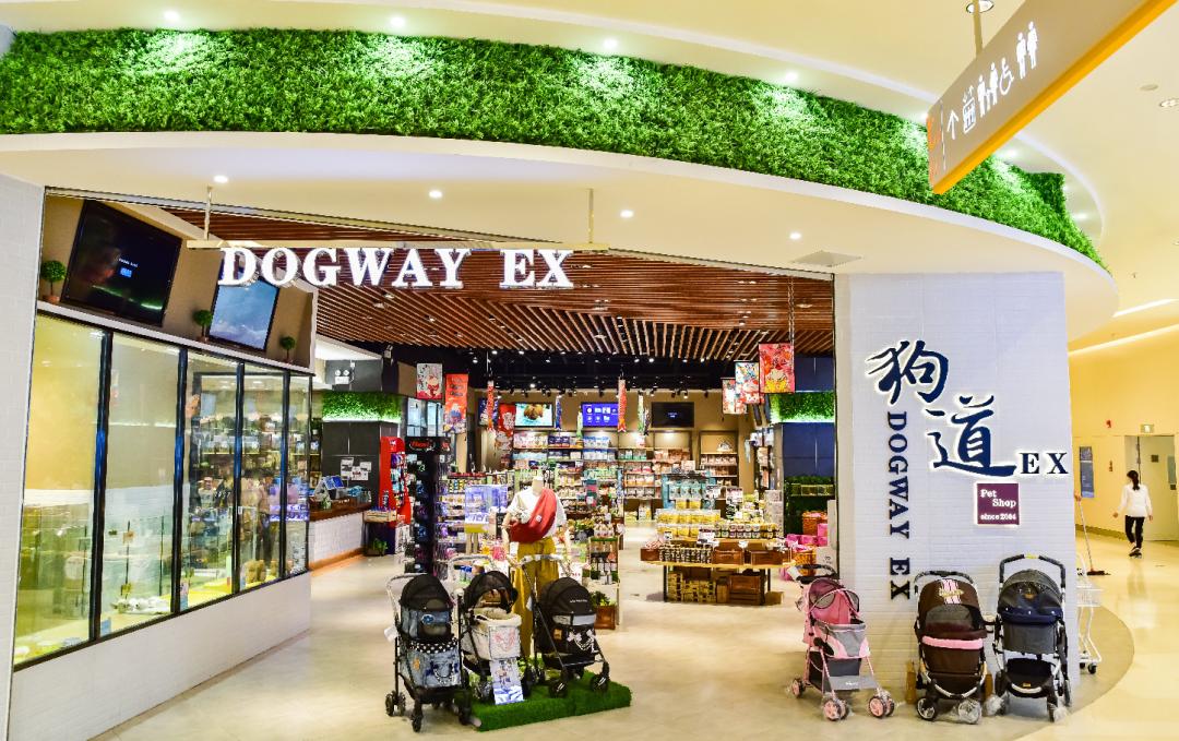 狗道宠物dogway上海店,专访doggo