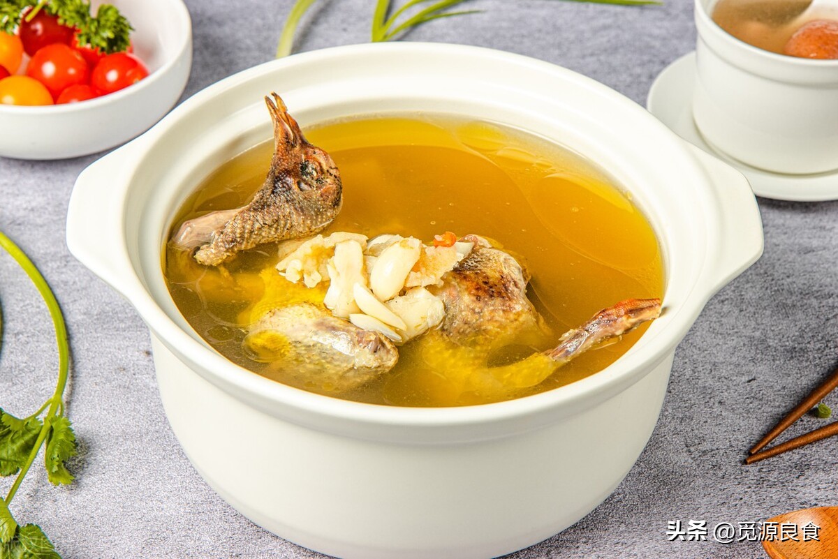 一鸽胜九鸡鸽子怎么炖更有营养,炖鸽子汤是用老鸽子好还是嫩鸽好