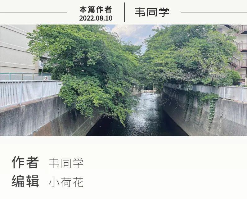 家具日常用品,家具置办必备