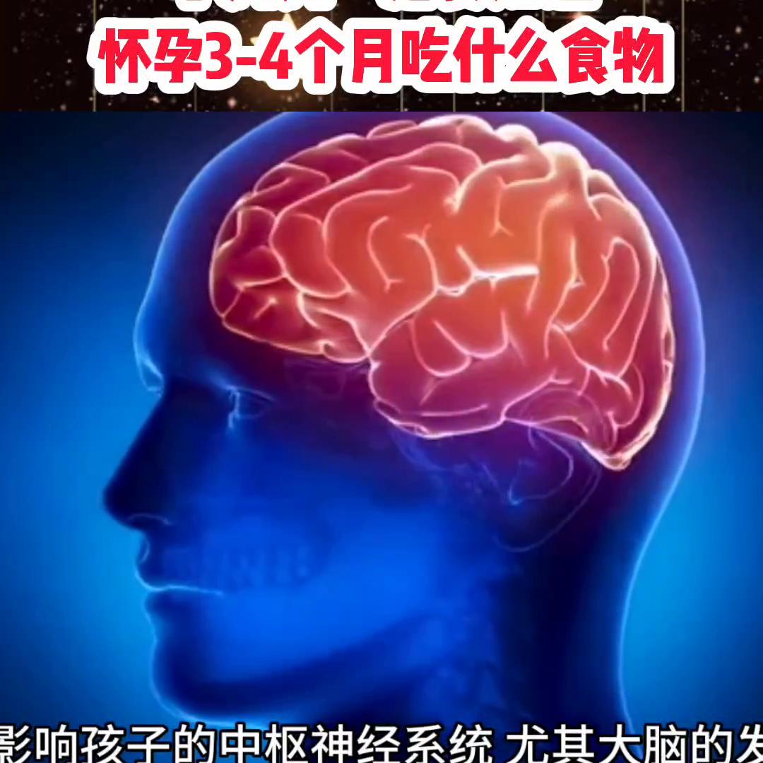 怀孕前三个月宝妈们都在吃什么呢,怀孕0-3个月的宝妈最爱吃什么