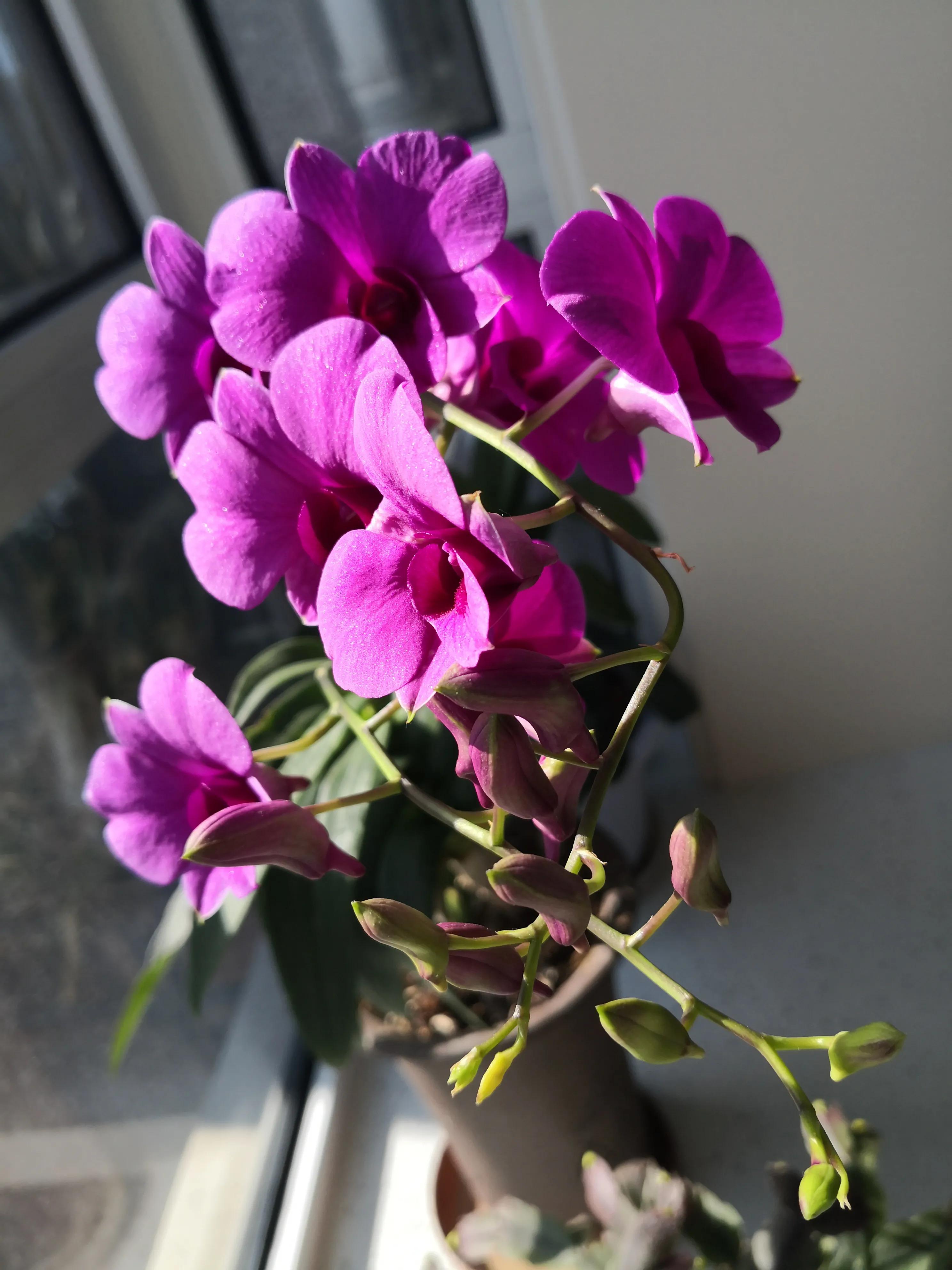 足球61号是谁,61足球