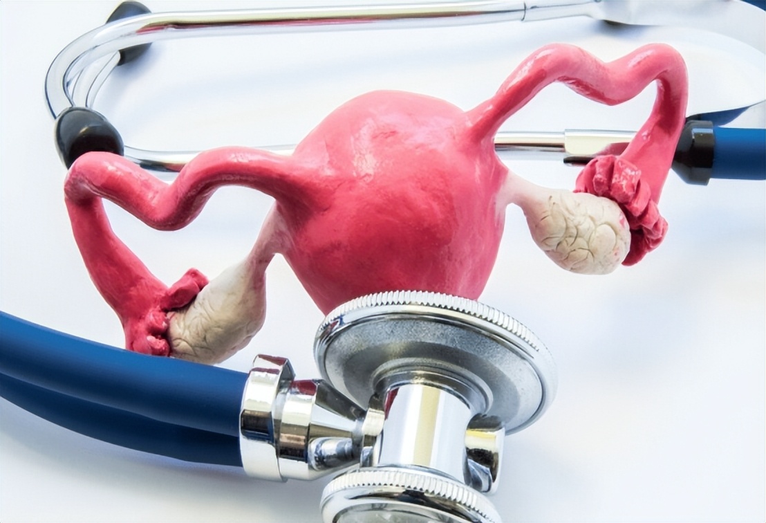 生育功能,生育功能强的男性有哪些特征