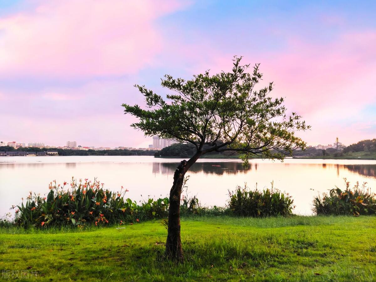 广州最美的公园是哪个公园,广州风景最美的十大公园