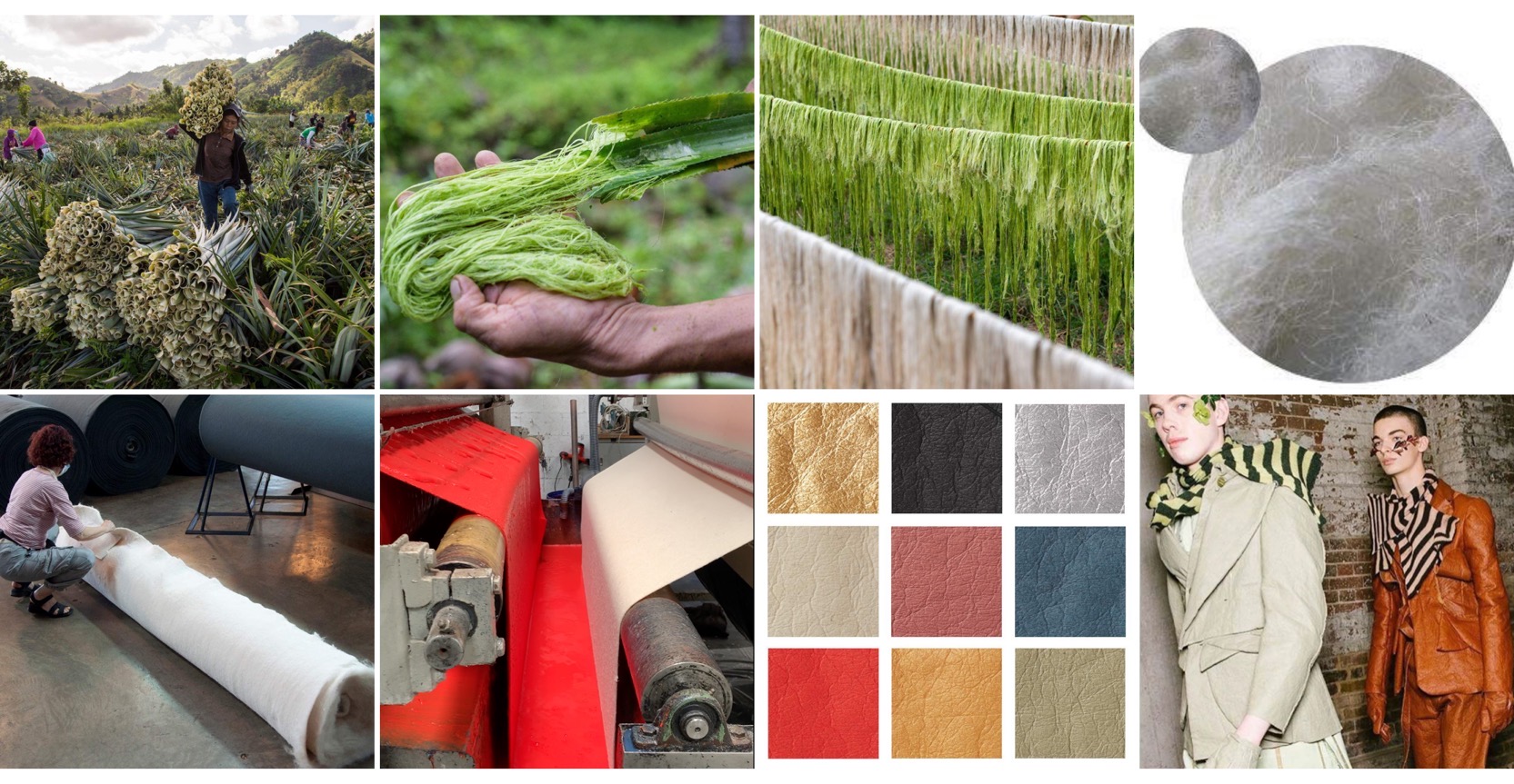 海军蓝配绿色皮革,贝壳头绿色皮革