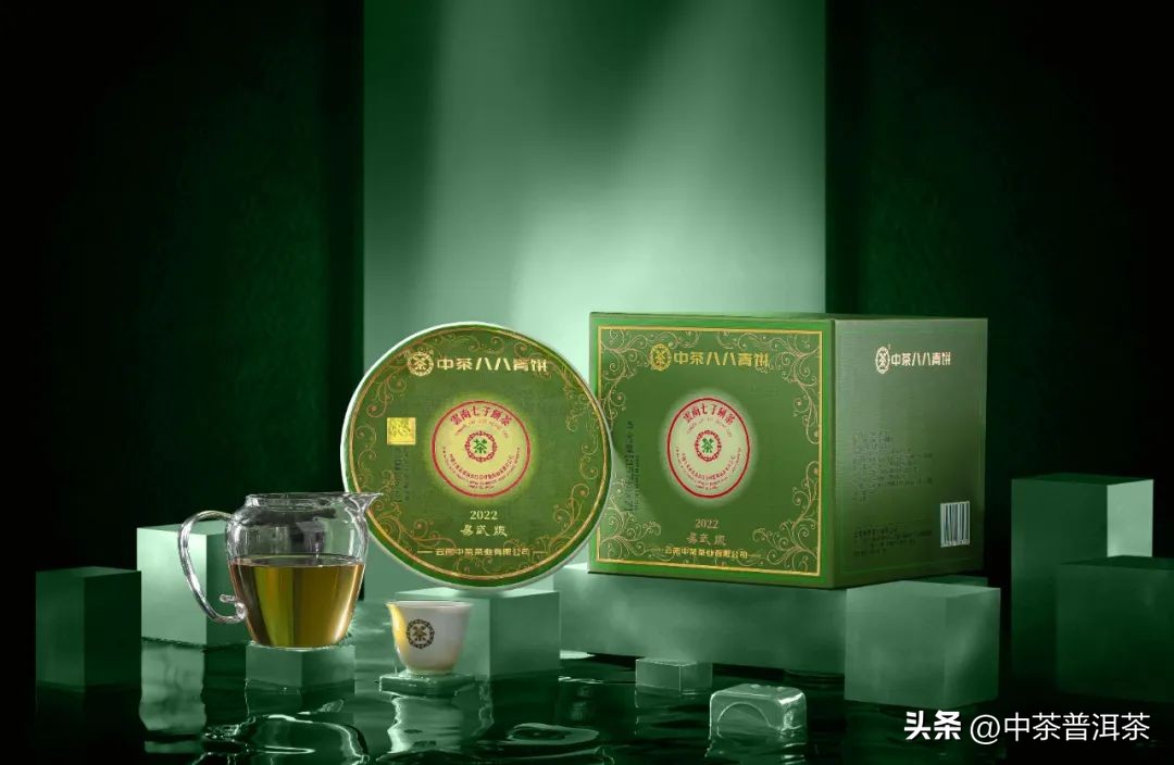 中茶普洱茶经销商信息大会,中茶2024年经销商大会