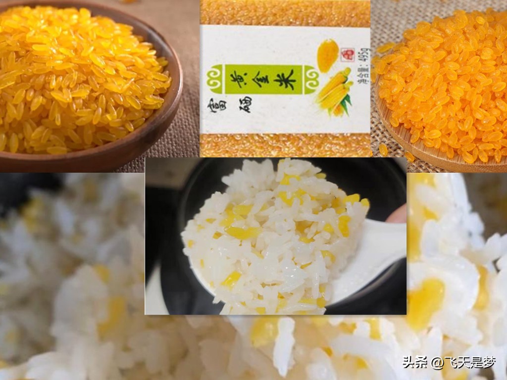 人工合成黄金米,黄金米是什么合成的能吃吗