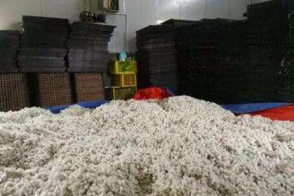 江苏穷小子，13岁工地搬砖白手起家，如今身家1400亿，成江苏首富