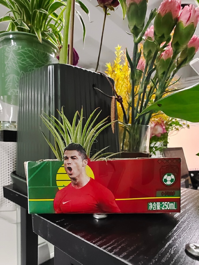 世界杯90分钟进了几球,世界杯90分钟阿根廷球员