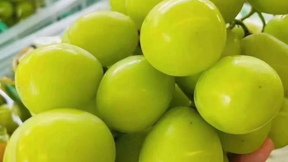 开水果店技巧视频讲解,新手开水果店详细教程