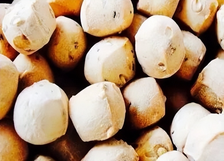 陕州面豆的功效与作用,陕州特产面豆制作视频