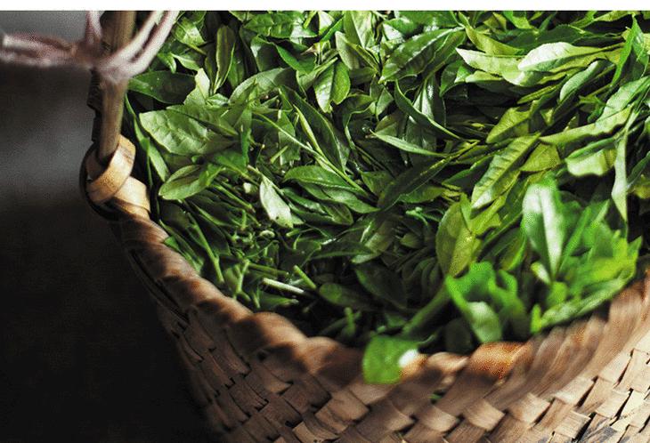 中国茶史,中国茶史书