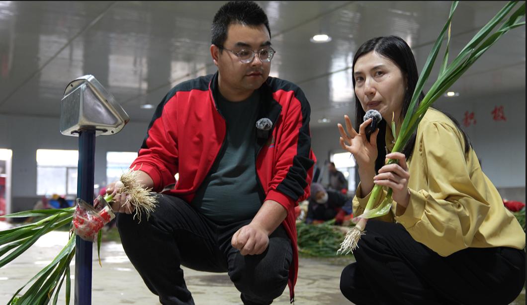 蒜苗卖9块钱一斤,蒜苗价