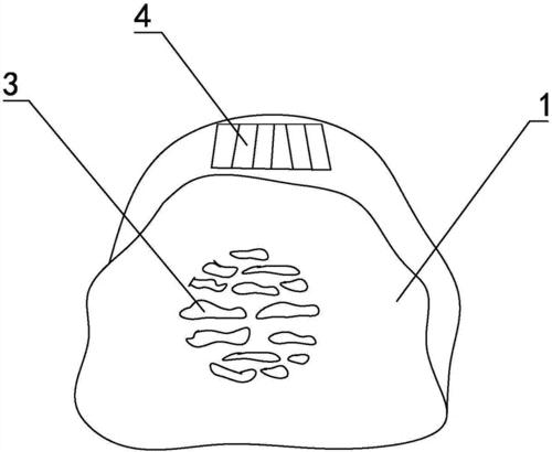 混合草坪养护措施,混合草坪施工