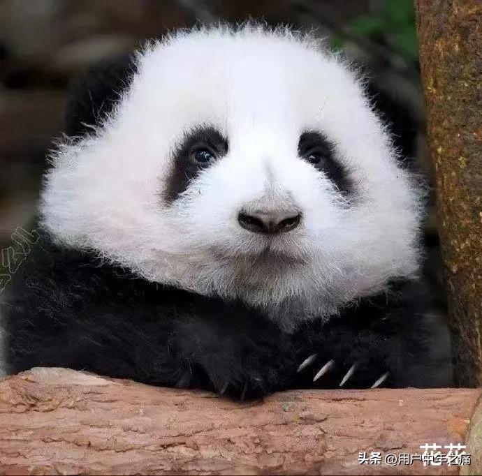 天之骄女是哪一年的,天之骄女重生归来小说