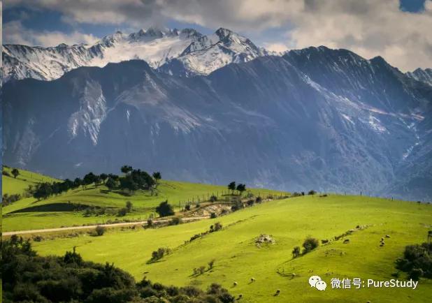 西北留学新西兰攻略,新西兰留学日常生活必备知识点